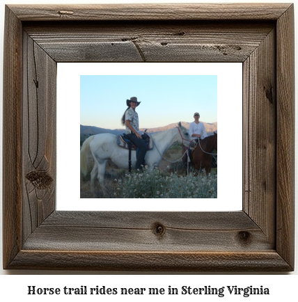 horse trail rides near me in Sterling, Virginia